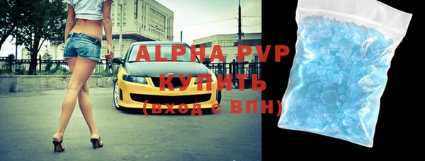 шишки Заволжье