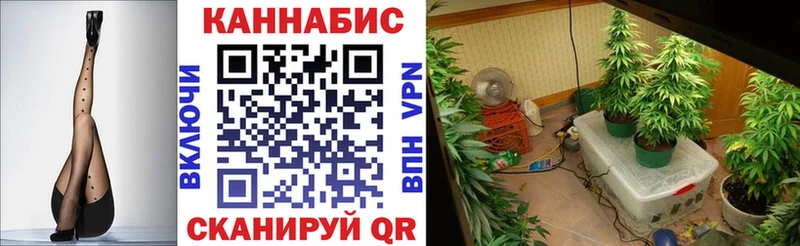 Канабис марихуана Бабаево